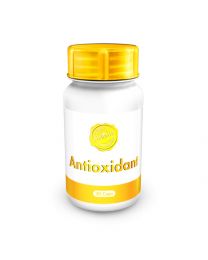 Holistix Anti-Oxidant Formula 30 cap