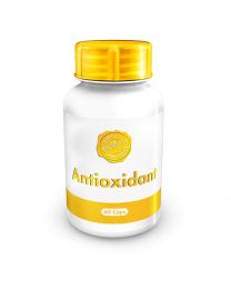 Holistix Antioxidant Formula 60 cap