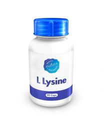Holistix L Lysine 500mg 90 cap